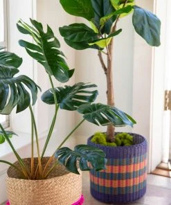 Natural Life SUMMER SHOP Katya Planter Basket Set 11 Natural Life SUMMER SHOP Katya Planter Basket Set