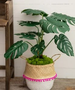 Natural Life Belly Basket Set Back To Campus