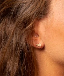 Natural Life Zodiac Perfect Tiny Studs