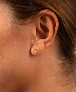 Natural Life Zodiac Perfect Tiny Studs