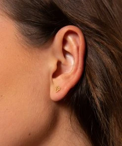 Natural Life Zodiac Perfect Tiny Studs