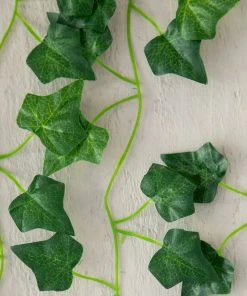 Natural Life Set Of 5 Vine Garland Back To Campus