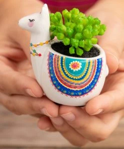 Natural Life FUN & GIFTS Tiny Faux Succulents