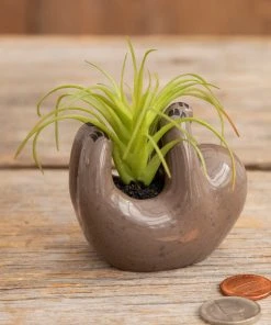 Natural Life FUN & GIFTS Tiny Faux Succulents