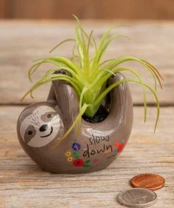 Natural Life FUN & GIFTS Tiny Faux Succulents