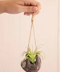 Natural Life Faux Succulent Car Charm