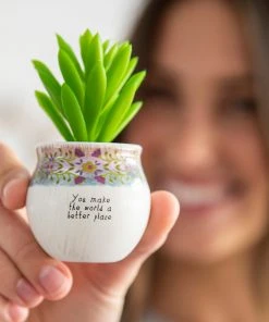 Natural Life Mini Faux Succulent FUN & GIFTS