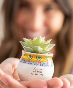 Natural Life Mini Faux Succulent FUN & GIFTS