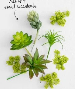 Natural Life HOME & LIVING Faux Succulent Bundle