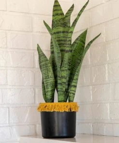 Natural Life Back In Stock Small Potted Faux Plant