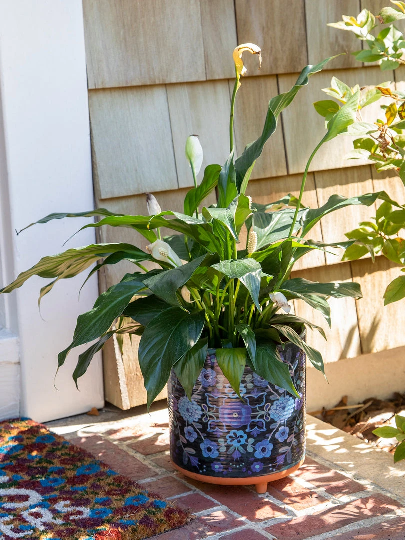 Natural Life Large Artisan Planter 3 Natural Life Large Artisan Planter