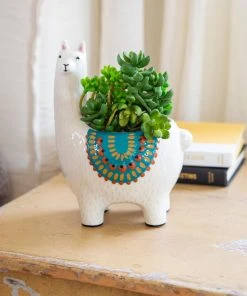 Natural Life Critter Planter Back To Campus