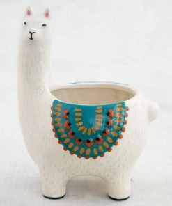 Natural Life Critter Planter Back To Campus