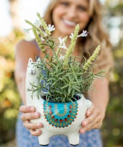 Natural Life Critter Planter Back To Campus