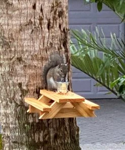 Natural Life Beach & Outdoors Squirrel Picnic Table Feeder